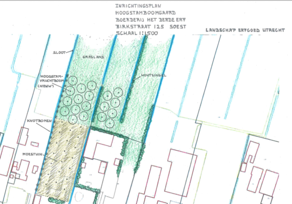 Featured image for “Crowdfunding – Klimaat-walnotenboom in Soest”