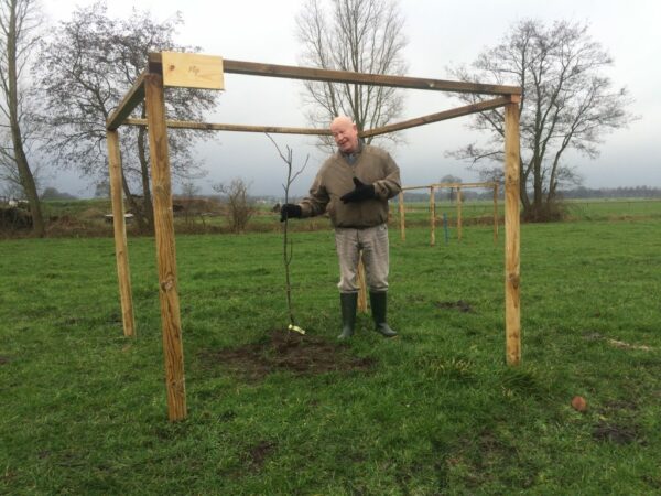 Featured image for “Walnotensavanne in de krant”