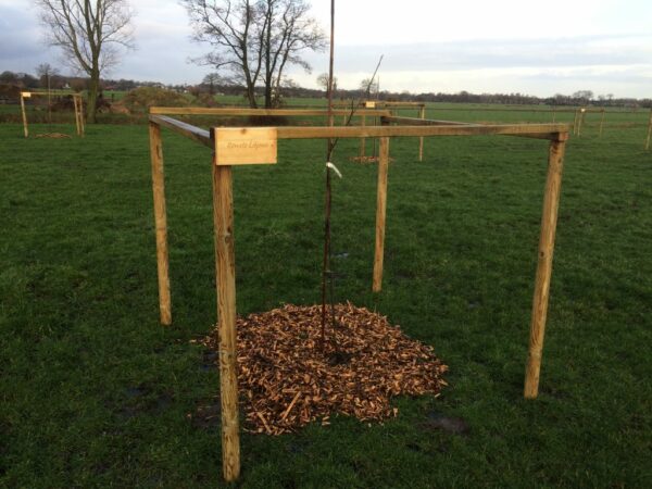 Featured image for “Aanplant klimaat-walnoten-savanne 30 januari 2018”