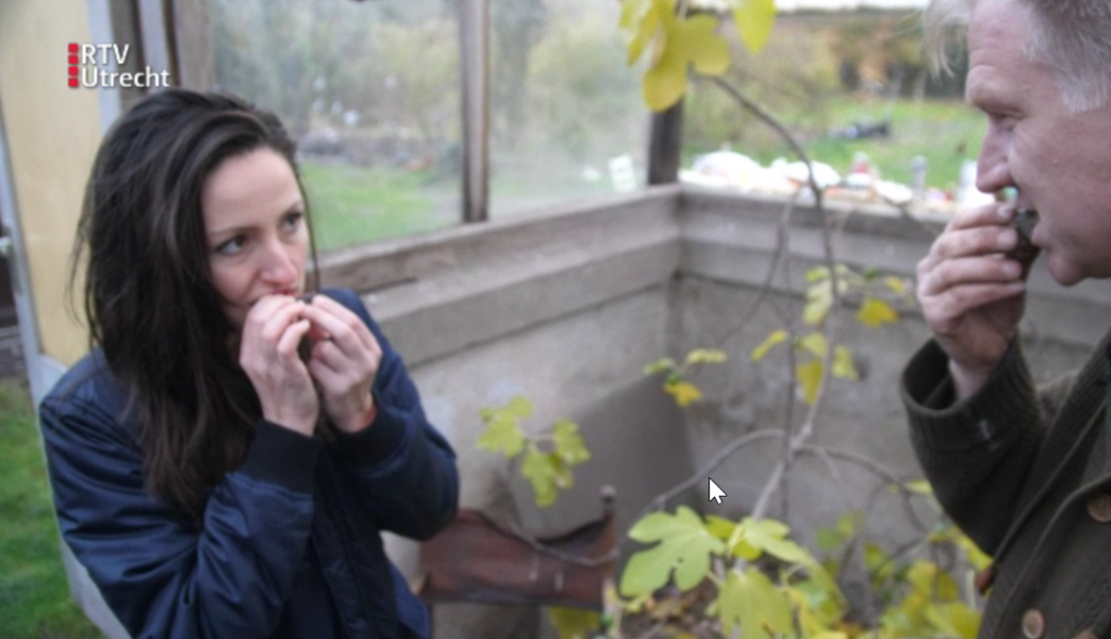 Emina en Göran proeven de vijgen van Boomgaard Soestdijk.